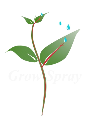 bladvoeding Spray n Grow